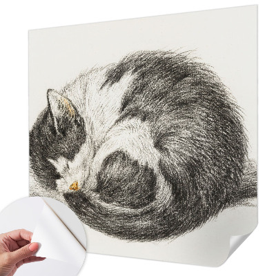 3D fototapeta Čudovita mucka