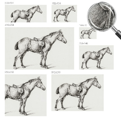 Fototapeta za otroško sobo Skica konja