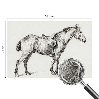 Fototapeta za otroško sobo Skica konja