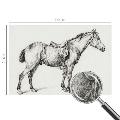 Fototapeta za otroško sobo Skica konja