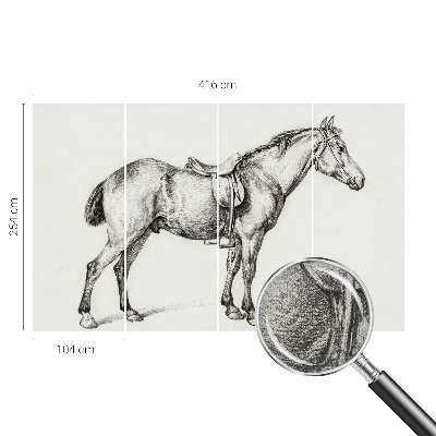 Fototapeta za otroško sobo Skica konja