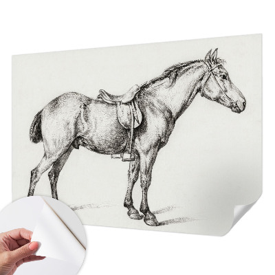 Fototapeta za otroško sobo Skica konja