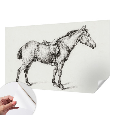 Fototapeta za otroško sobo Skica konja