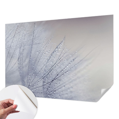 3D fototapeta z motivom rosnega regrata