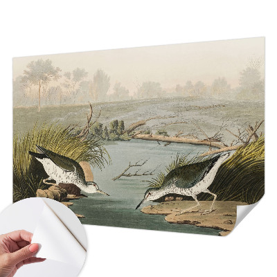 Fototapeta za otroško sobo Mirna pokrajina