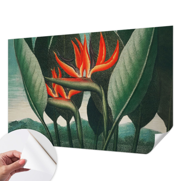 Samolepilna fototapeta Eksotično cvetje