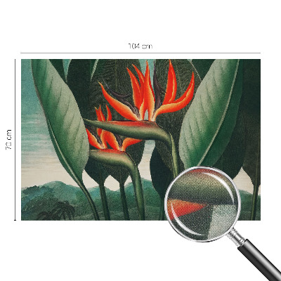 Samolepilna fototapeta Eksotično cvetje