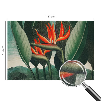 Samolepilna fototapeta z motivom eksotičnega cvetja