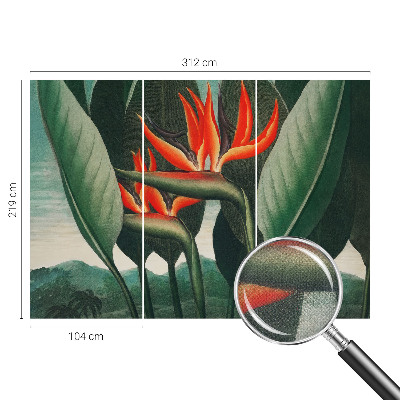 Samolepilna fototapeta z motivom eksotičnega cvetja