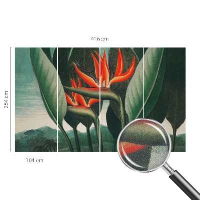 Samolepilna fototapeta z motivom eksotičnega cvetja
