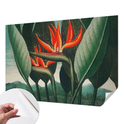 Samolepilna fototapeta Eksotično cvetje