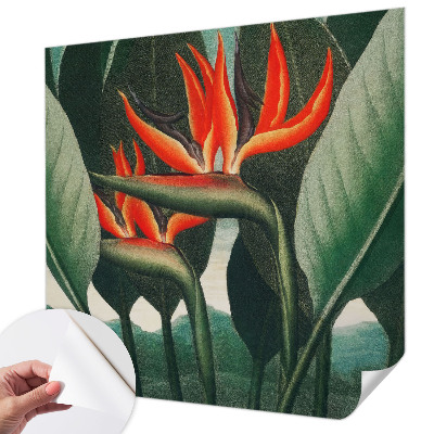 Samolepilna fototapeta z motivom eksotičnega cvetja
