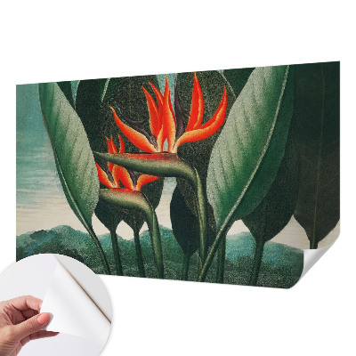 Samolepilna fototapeta z motivom eksotičnega cvetja