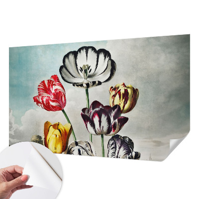 Fototapeta za otroško sobo Barviti tulipani