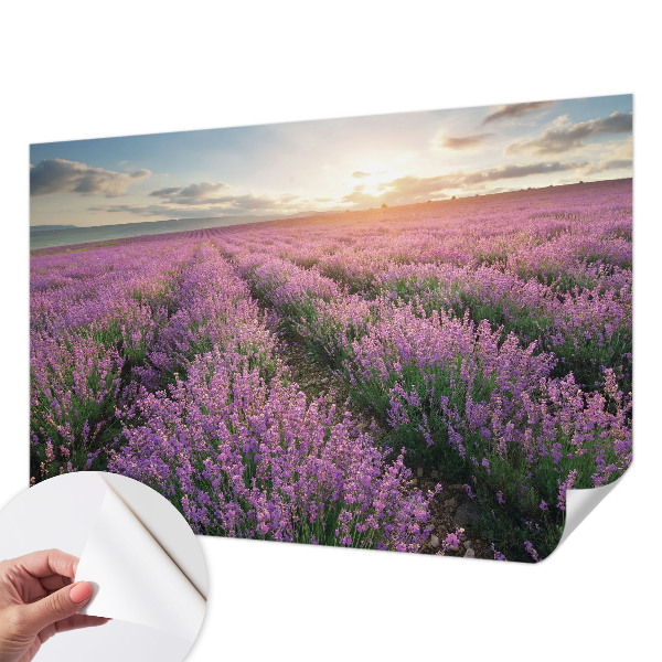 Samolepilna fototapeta za spalnico z motivom polj sivke