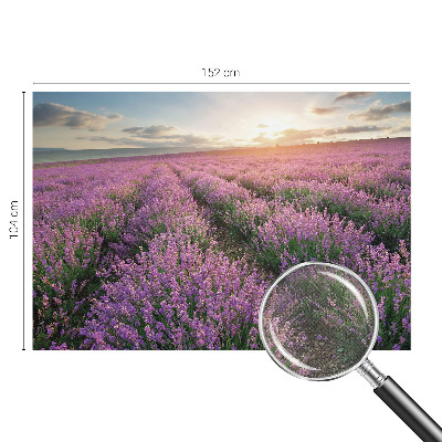 Samolepilna fototapeta za spalnico z motivom polj sivke