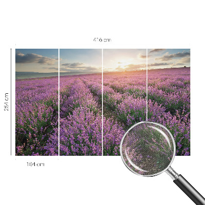 Samolepilna fototapeta za spalnico z motivom polj sivke