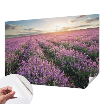 Samolepilna fototapeta za spalnico z motivom polj sivke