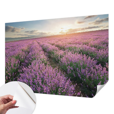 Samolepilna fototapeta za spalnico z motivom polj sivke