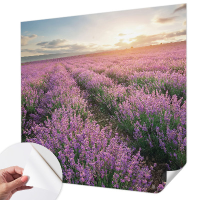 Samolepilna fototapeta za spalnico z motivom polj sivke