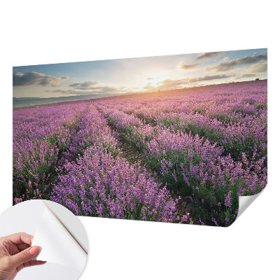 Samolepilna fototapeta za spalnico z motivom polj sivke