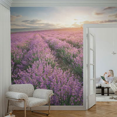 Samolepilna fototapeta za spalnico z motivom polj sivke