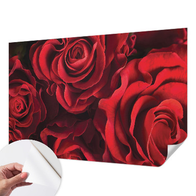 3D fototapeta z motivom rdečih vrtnic