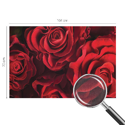 3D fototapeta z motivom rdečih vrtnic