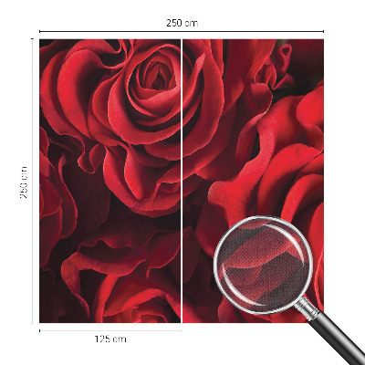 3D fototapeta z motivom rdečih vrtnic