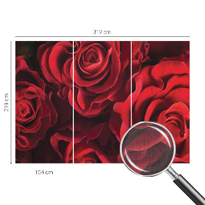 3D fototapeta z motivom rdečih vrtnic