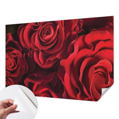 3D fototapeta z motivom rdečih vrtnic