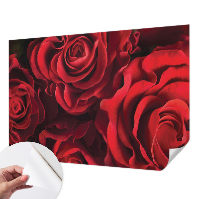 3D fototapeta z motivom rdečih vrtnic