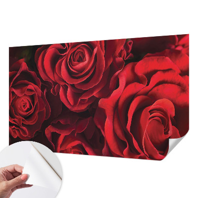 3D fototapeta z motivom rdečih vrtnic
