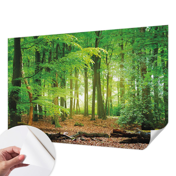 Fototapeta za otroško sobo z motivom zelenega gozda