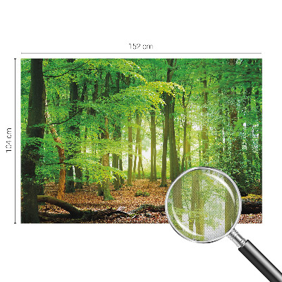 Fototapeta za otroško sobo z motivom zelenega gozda