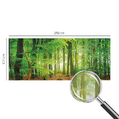 Fototapeta za otroško sobo Zeleni gozd