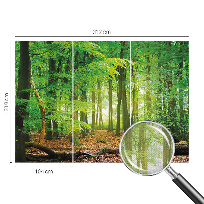Fototapeta za otroško sobo z motivom zelenega gozda
