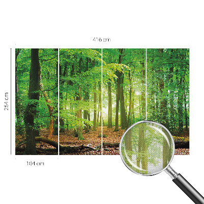 Fototapeta za otroško sobo Zeleni gozd