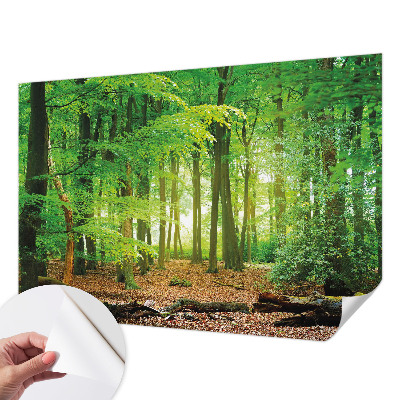 Fototapeta za otroško sobo z motivom zelenega gozda
