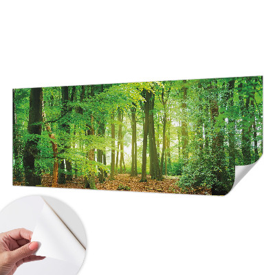 Fototapeta za otroško sobo z motivom zelenega gozda