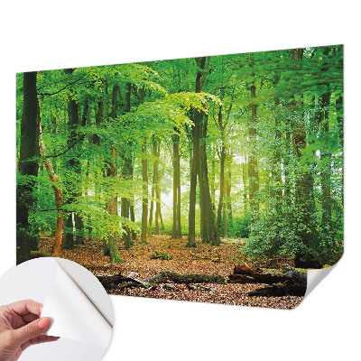 Fototapeta za otroško sobo z motivom zelenega gozda