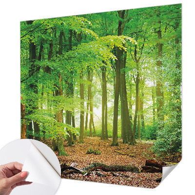 Fototapeta za otroško sobo z motivom zelenega gozda