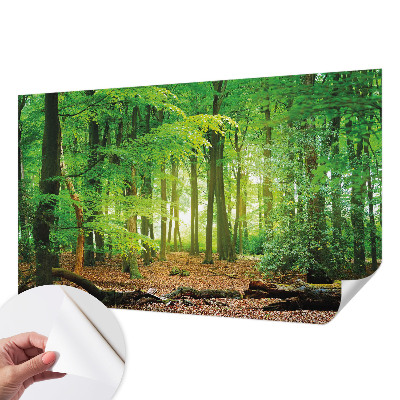 Fototapeta za otroško sobo Zeleni gozd