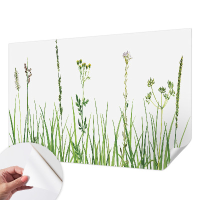 Samolepilna fototapeta z motivom subtilne flore