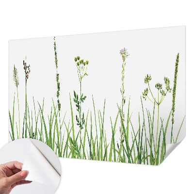 Samolepilna fototapeta z motivom subtilne flore
