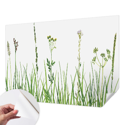 Samolepilna fototapeta z motivom subtilne flore