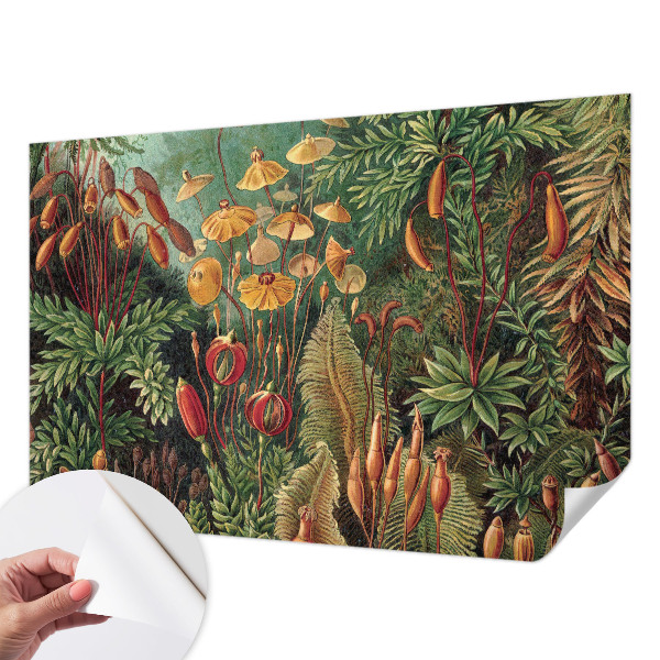 Samolepilna fototapeta za dnevno sobo Eksotični vrt