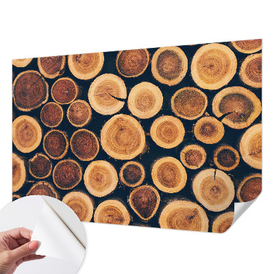 3D fototapeta z motivom lesenih krogov