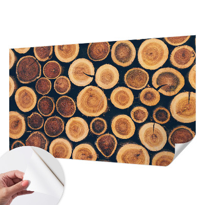 3D fototapeta z motivom lesenih krogov