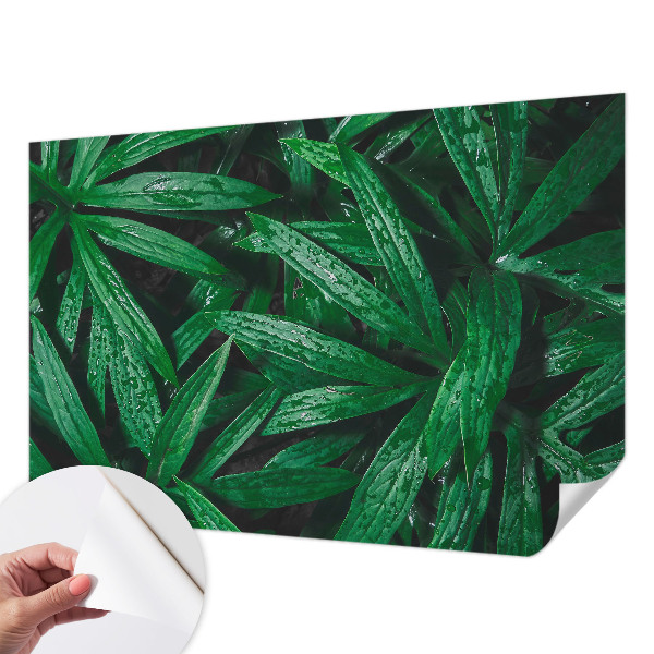 Samolepilna fototapeta za spalnico z motivom naravnega zelenja